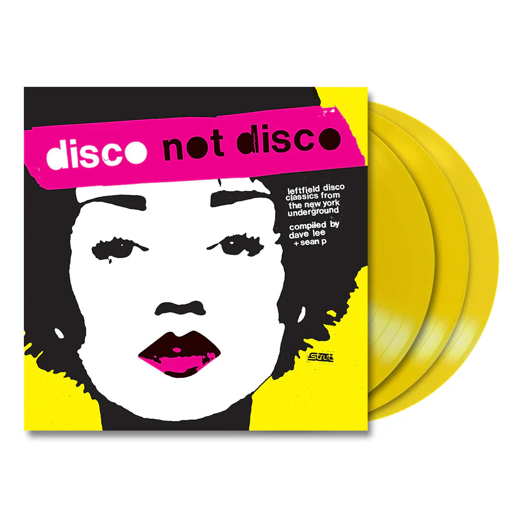 Disco Not Disco: Leftfield Disco Classics From The New York Underground (Vinyl)
