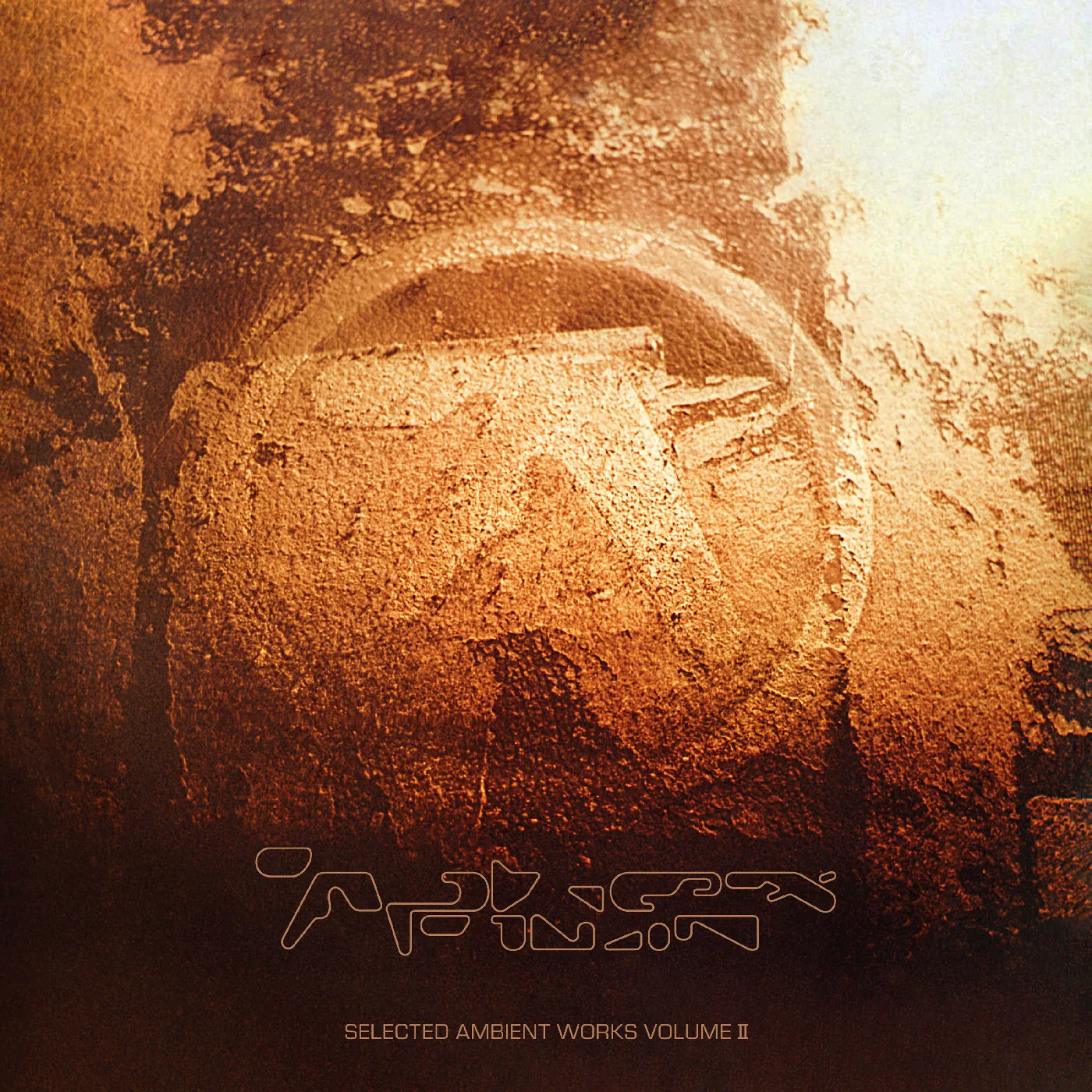 Selected Ambient Works Volume II (Expanded Edition) (Vinyl)
