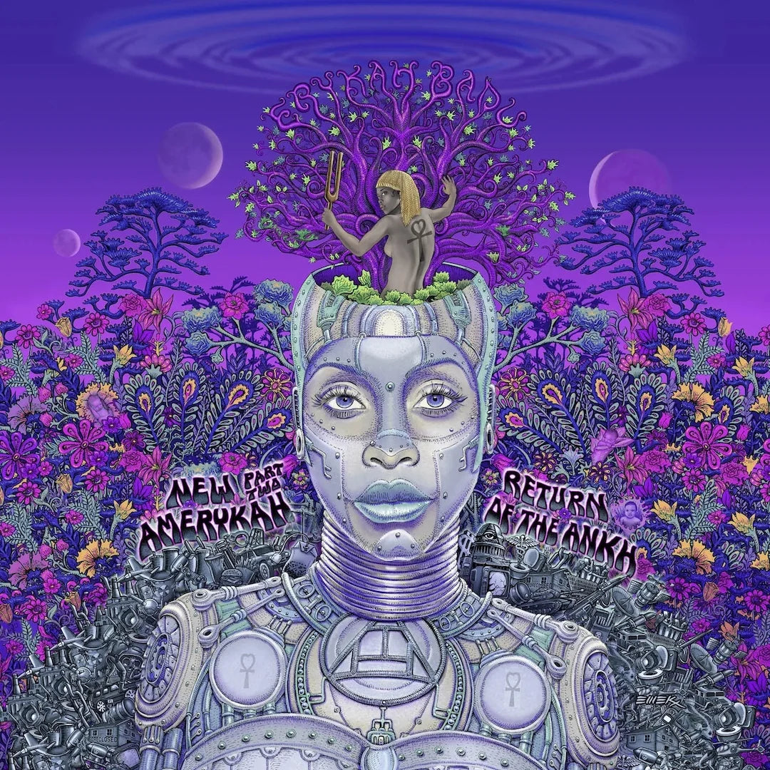 New Amerykah Pt. Two (Vinyl)