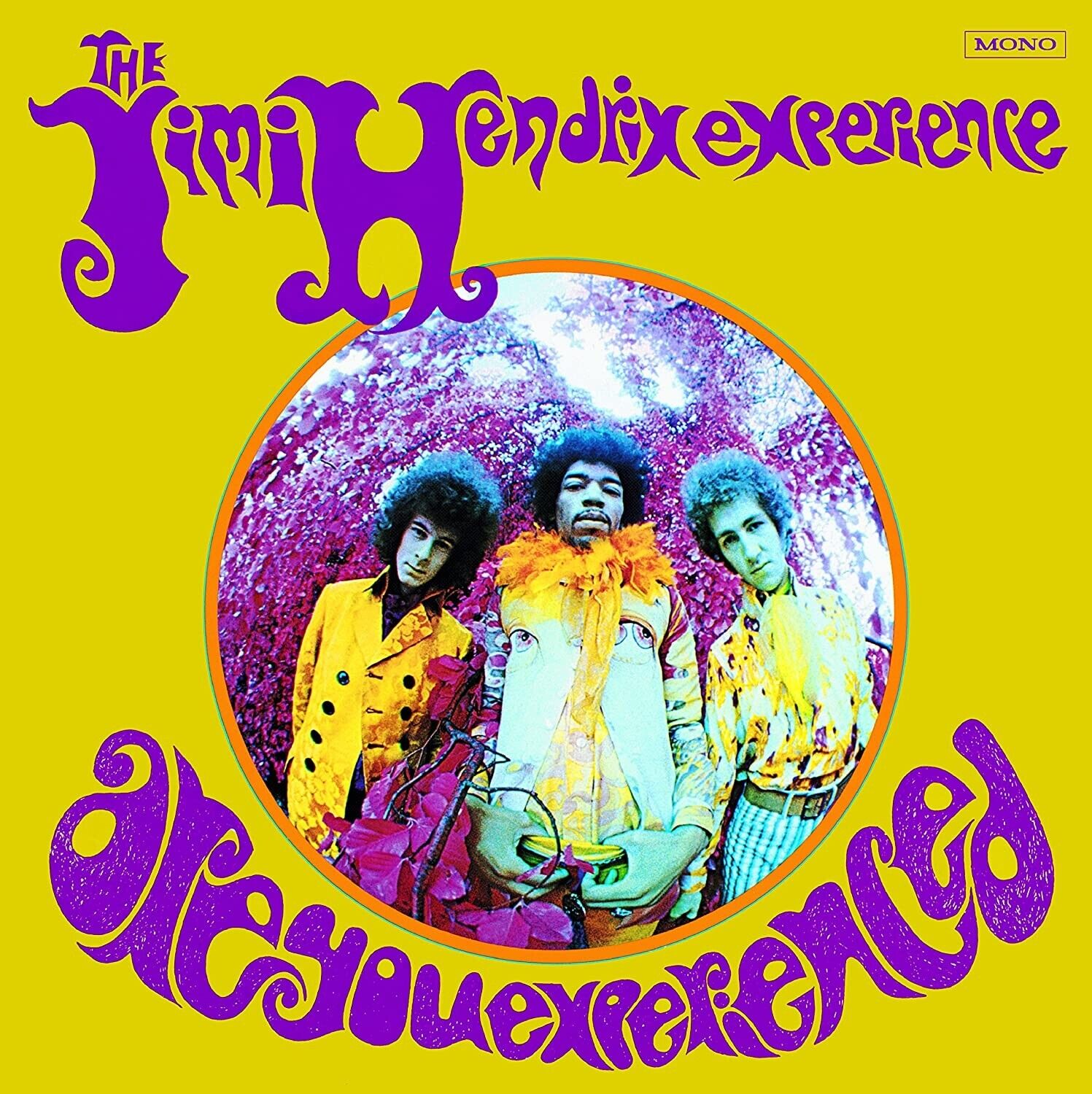 Are You Experienced: US Edition (Vinyl)